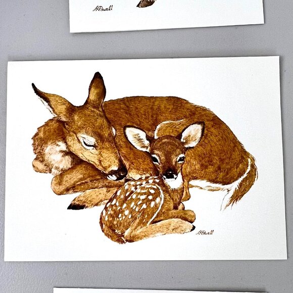 Vintage 1980's Current American Wildlife Ecology Set of 5 Blank Note Cards - Picture 8 of 9